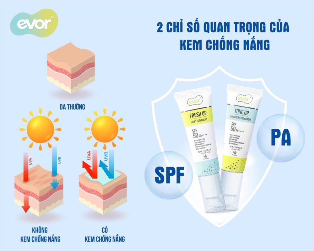 2️⃣ CHỈ SỐ QUAN TRỌNG TRÊN KEM CHỐNG NẮNG BẠN CẦN BIẾT-kem chống nắng evor-nước hoa evor-chăm sóc da evor-skincare