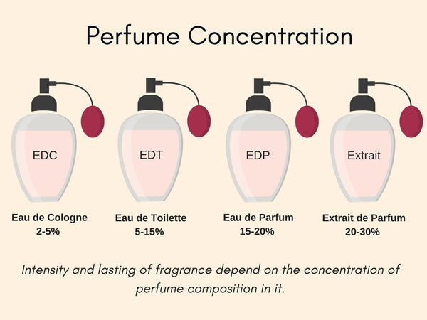 EDT  EDP: Sự Khác Biệt  Cách Chọn Phù Hợp