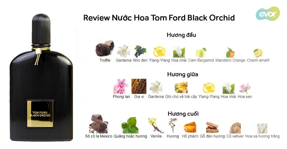 review-nuoc-hoa-tom-ford-black-orchid-mfparis