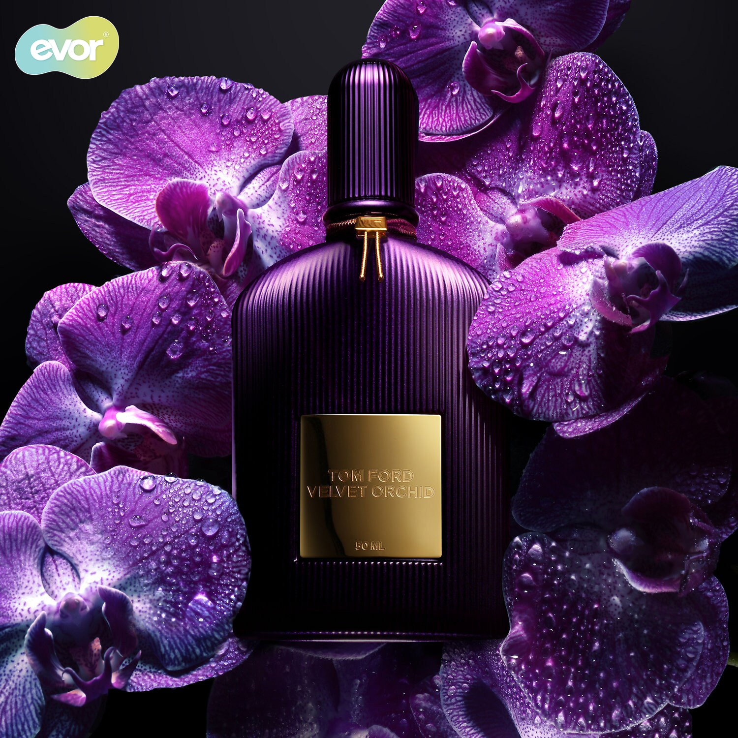 tom-ford-velvet-orchid