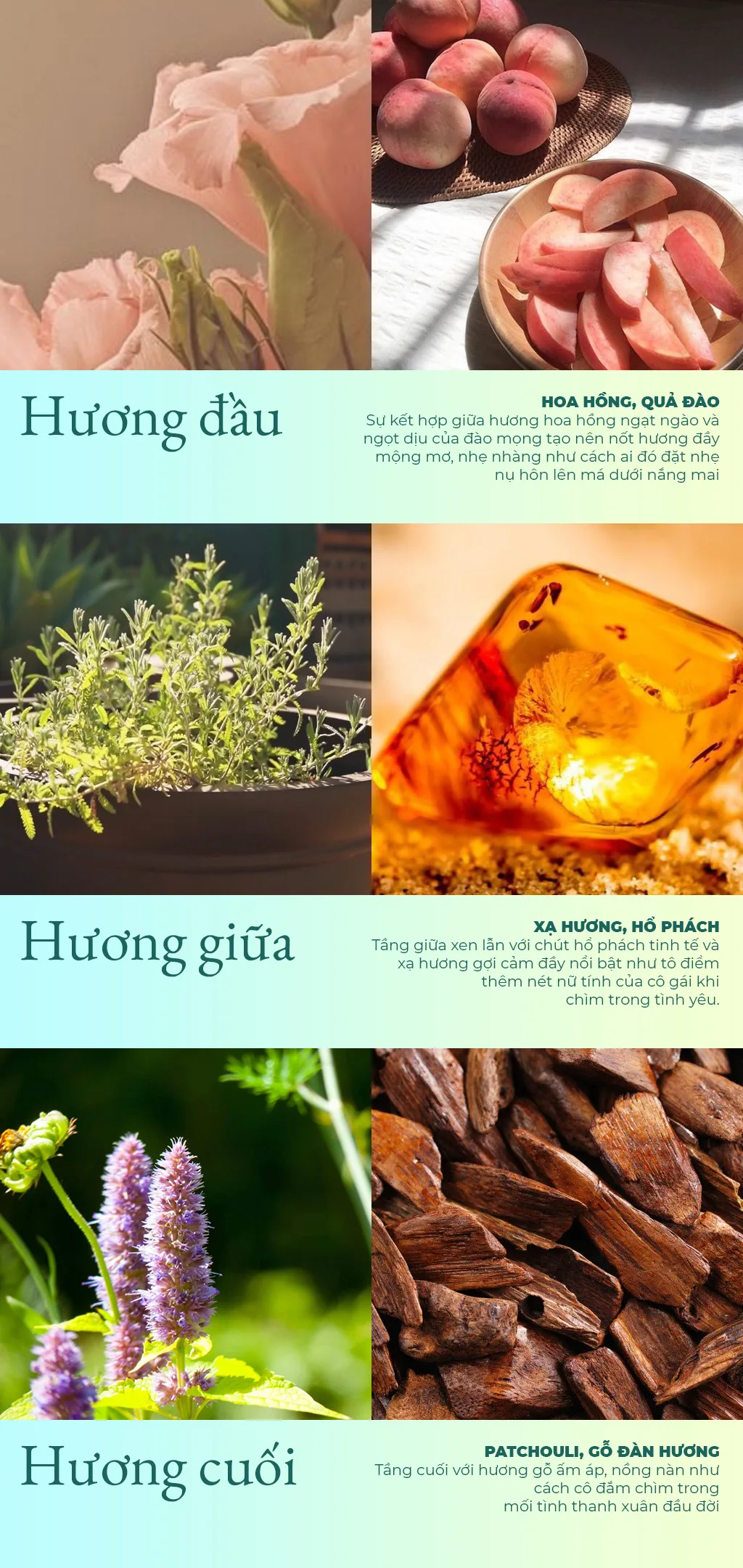 Cac-tang-huong-nuoc-hoa